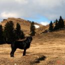 Mala Planina 19.1.-20.1.07