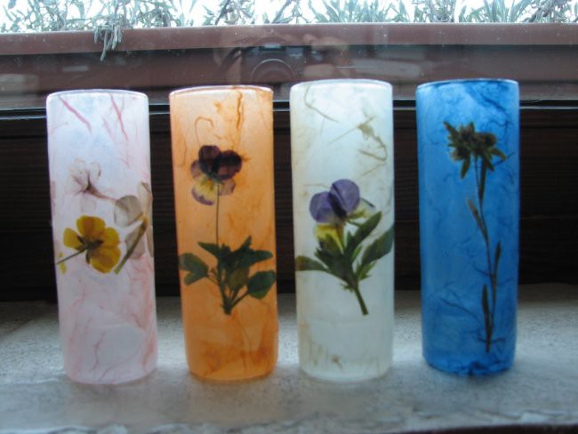 suho cvetje na steklu