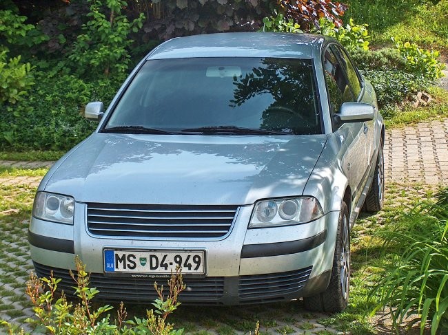 Passat - foto povečava