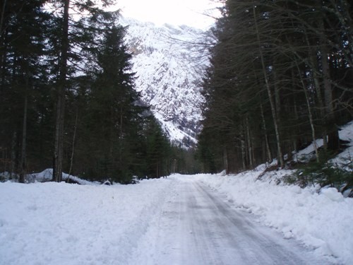 LOGARSKA DOLINA 21.12.08 - foto