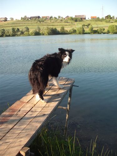 SKYE - foto povečava