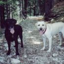 Nero&Sky na terenu