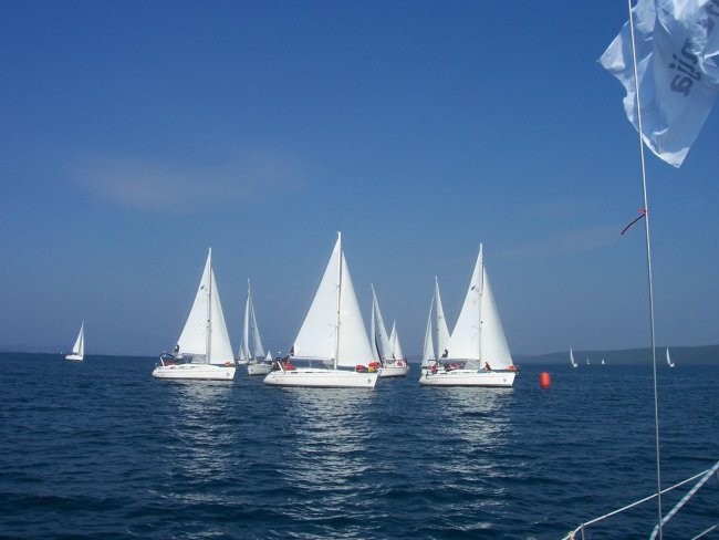 7.Attemsova regata - foto povečava