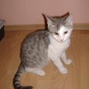 Mucki iz Kranja imajo nove domove 3