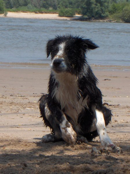 Flo in holland on the beach