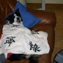 spoiled?!