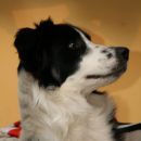 januar 2007