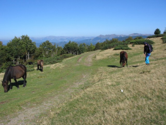 Crna gora - foto