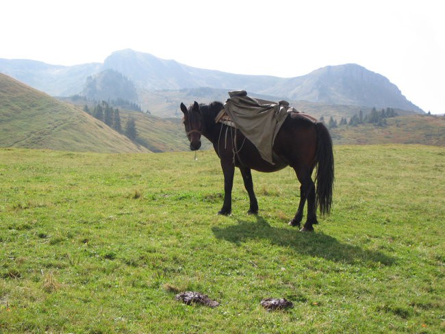 Crna gora - foto povečava