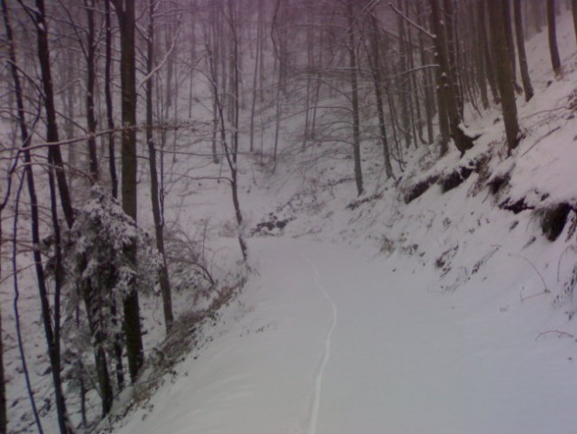 18.11.07 - foto