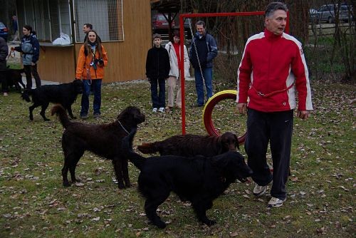 Flatovsko srečanje, 2008 - foto