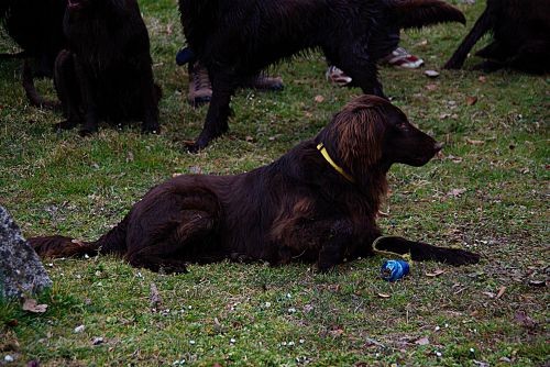 Flatovsko srečanje, 2008 - foto povečava