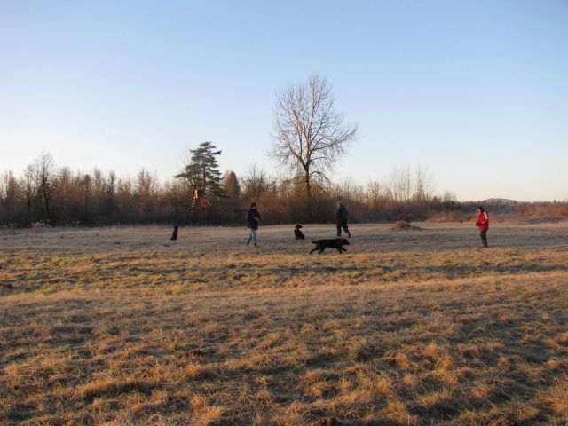 Trening, 3. januar 2010 - foto