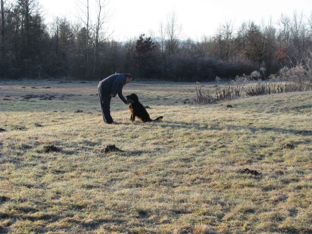 Trening, 3. januar 2010 - foto