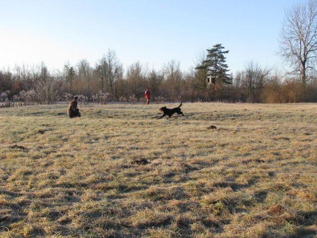 Trening, 3. januar 2010 - foto