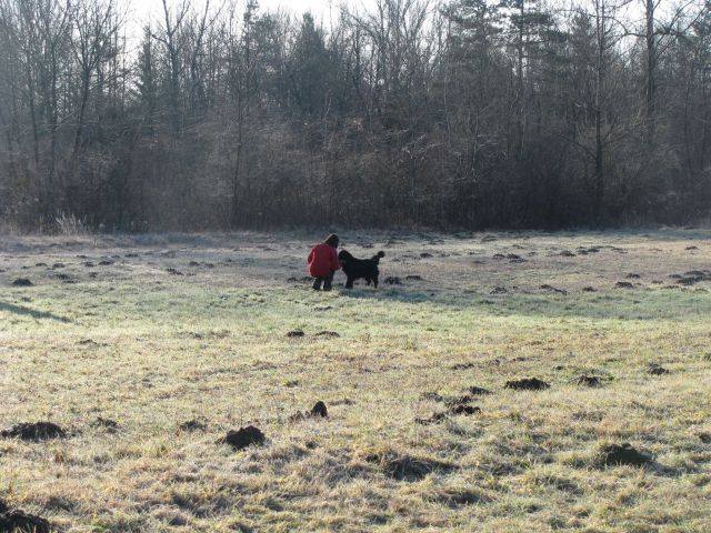 Trening, 3. januar 2010 - foto