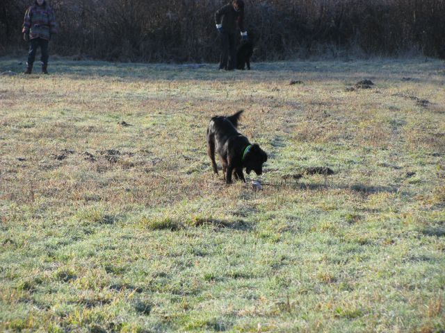 Trening, 3. januar 2010 - foto