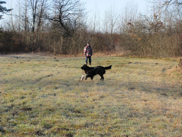 Trening, 3. januar 2010 - foto