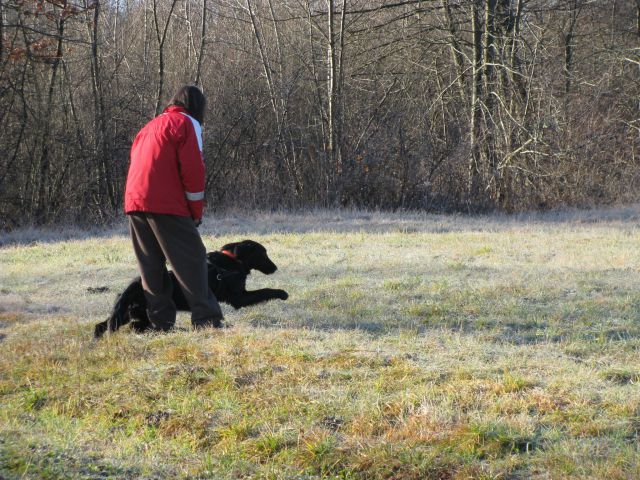 Trening, 3. januar 2010 - foto
