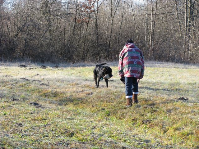 Trening, 3. januar 2010 - foto