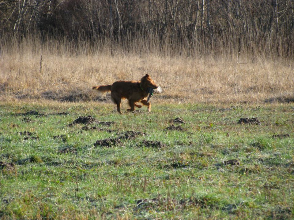 Trening, 3. januar 2010 - foto povečava