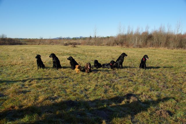 Trening, 3. januar 2010 - foto