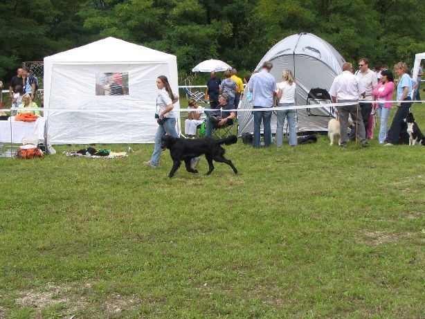 CAC Trbovlje - 27.8.2006 - foto