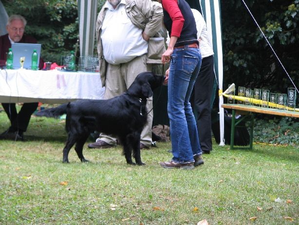 NÖ-Trophy, 1. 10. 2006 - foto povečava