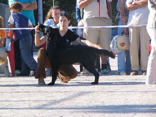CAC Rijeka, 8. 10. 2006 - foto