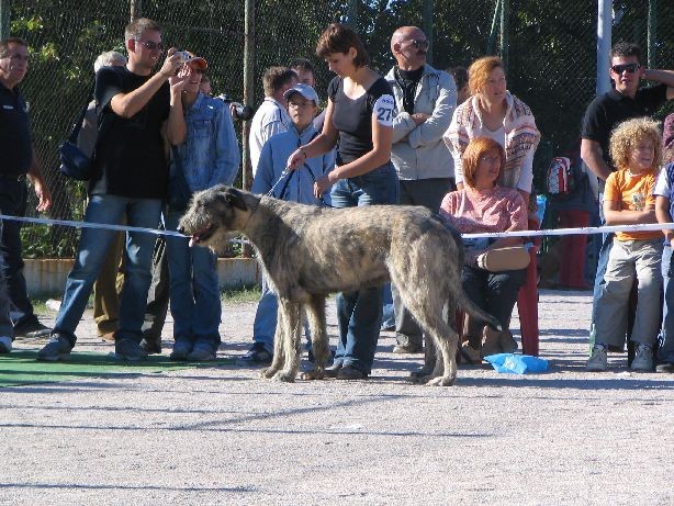 CAC Rijeka, 8. 10. 2006 - foto povečava