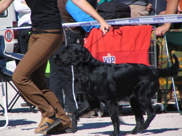 CAC Rijeka, 8. 10. 2006 - foto povečava