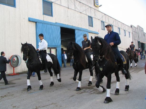Fiera cavalli 2004 - foto