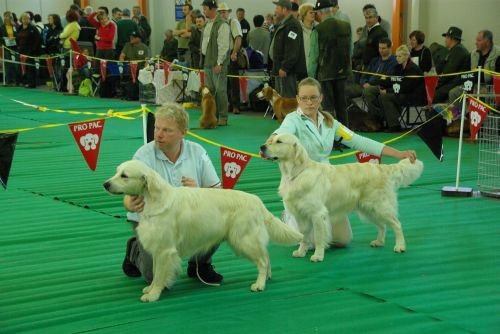 CAC Radgona, 21. 4. 2007 - foto povečava