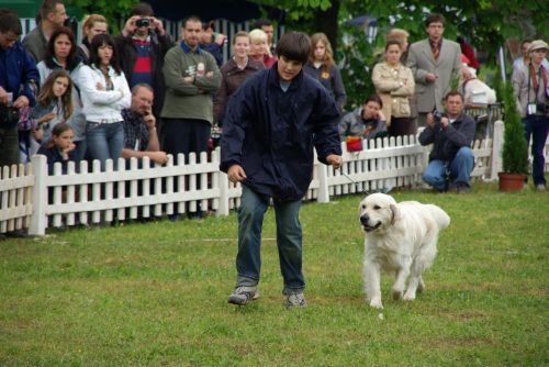 CACIB & CAC Sarajevo, 5. 5. & 6. 5. 2007 - foto povečava