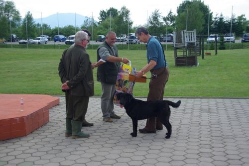 PNZ & vzrejni pregled, Polskava, 20. 5. 2007 - foto povečava