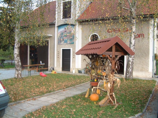 Kostanjev pikniuk 2005 - foto povečava