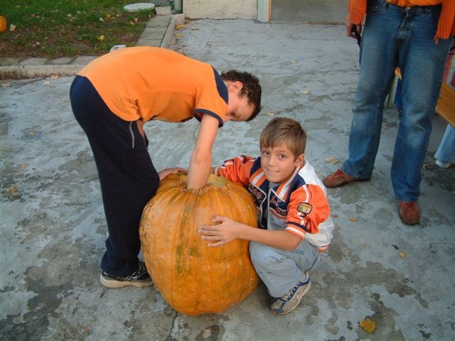 Noč čarovnic 2006 - mladi - foto povečava