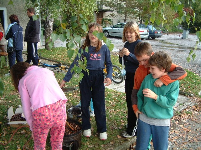 Kostanjev piknik - foto