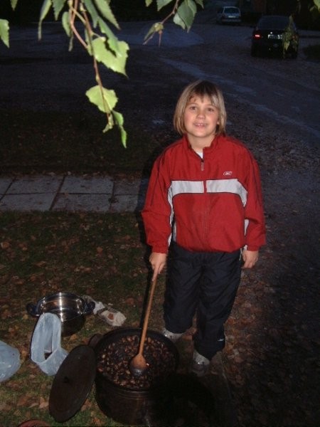 Kostanjev piknik - foto povečava