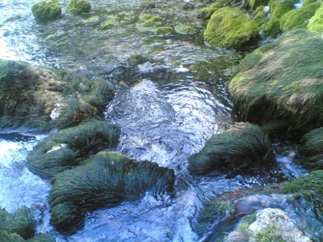 Službeno potovanje po Bosni - foto