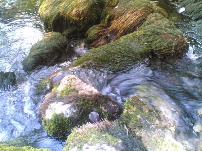 Službeno potovanje po Bosni - foto povečava