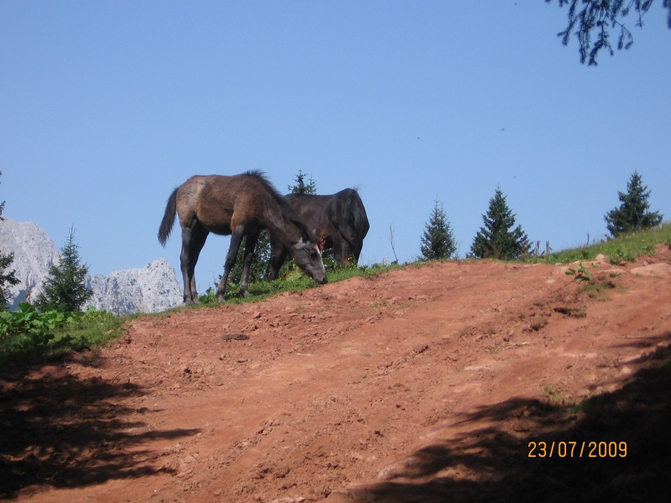 Pohod na Košuto (Veliki vrh) - foto povečava