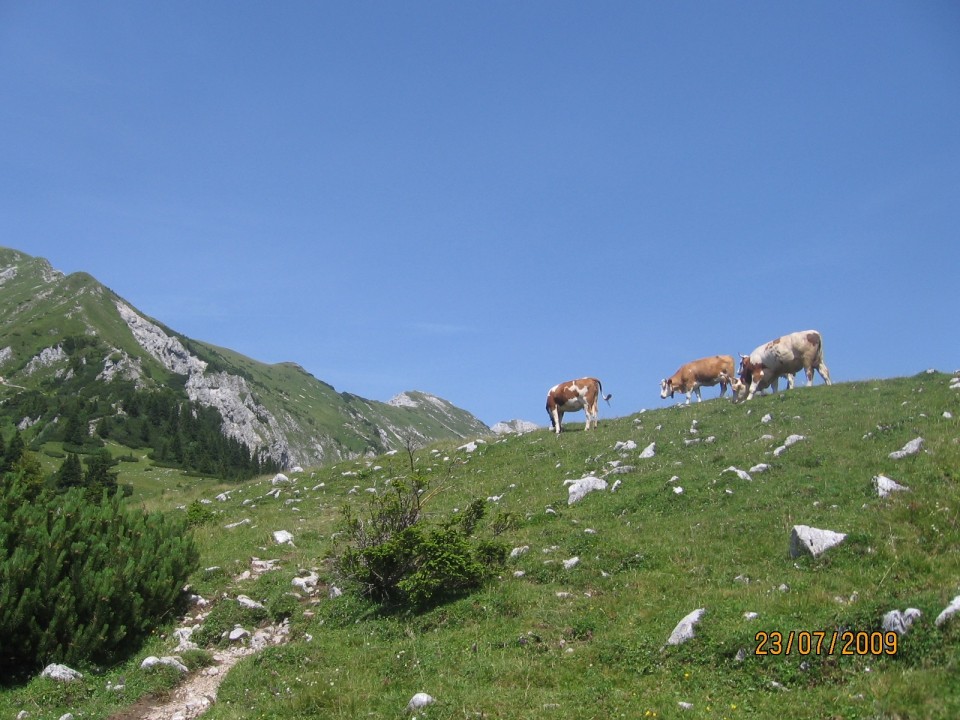 Pohod na Košuto (Veliki vrh) - foto povečava