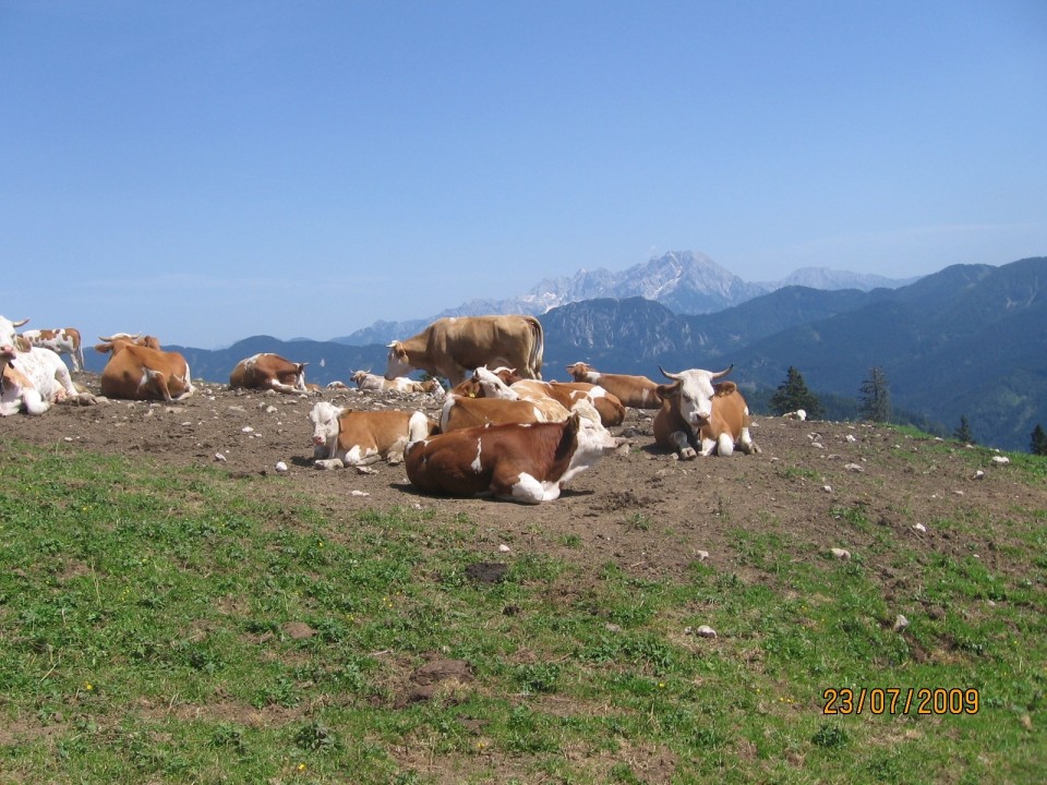 Pohod na Košuto (Veliki vrh) - foto povečava