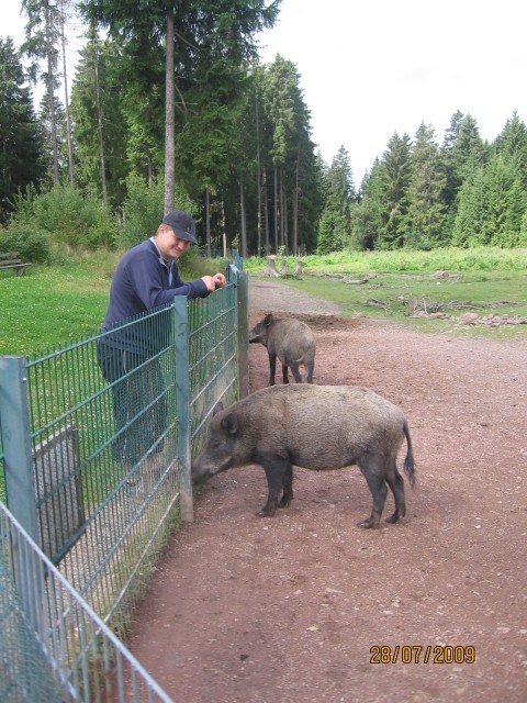 Nemčija julij 2009 - foto