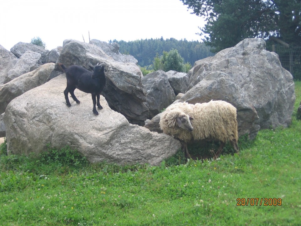 Nemčija julij 2009 - foto povečava