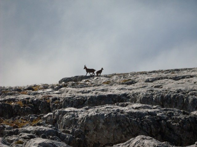 Na Veliko špičje (2398m) - foto