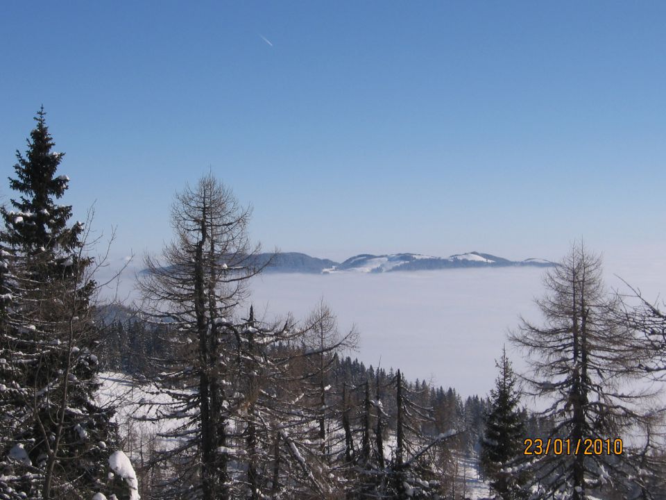 Skoraj na Raduhi - foto povečava