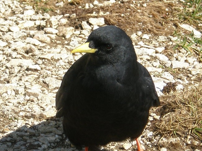 Pohod na Triglav - foto povečava