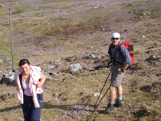 MENINA PLANINA 14.4.07 (KALIMERO) - foto povečava